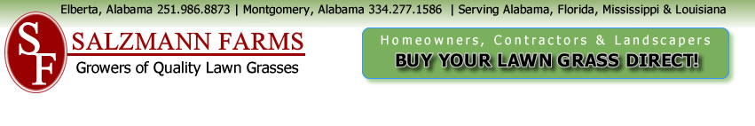 alabama lawn and turf grasses