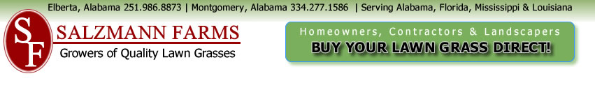 Centipede Grass for sale in alabama